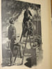 Book Picture