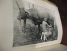 Book Picture