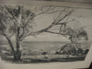 Book Picture