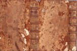 Book Picture