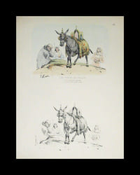 Modèles coloris. 75 planches lithographiques. (sur 100 ?). Qqs planches signées ‘le Breton - Cerisier - V. Adam ou Josephine Ducollet’.