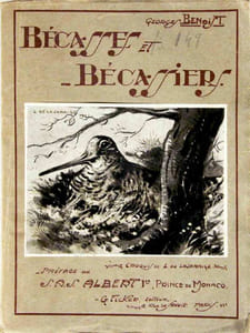 Bécasses et Bécassiers - Anatomie, Ornithologie, Migration, Chasse.