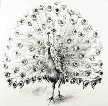 Histoires naturelles. Textes choisis. Illustrés de lithographies originales par Hans Erni.. ERNI. - BUFFON: