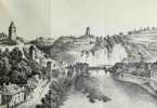Nouveaux souvenirs de Fribourg ville et canton, avec des notices spéciales sur les Ponts, le viaduc de Grandfey, les Orgues, la Collégiale de ...