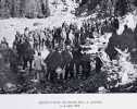La soci&eacute;t&eacute; s&eacute;dunoise d’agriculture et le d&eacute;veloppement agricole de Sion. 1868-1908.. Sion. - 