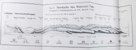 Einmalige Sammlung von 37 Separat-Abdrucken, Sonderdrucken, Vortr&auml;gen und Festschriften von Arnold Heim, Sohn von Albert Heim, beide Geologen. . HEIM, ...