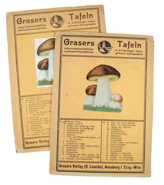 Prof Dr. Raschkes erste Tafel essbarer Pilze + zweite Tafel essbarer Pilze. [= Graser's naturwissenschaftliche und landwirtschaftliche Tafeln, (No. 1 ...