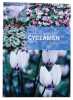 Alpenveilchen: Arten, Sorten, Kultur. Cyclamen. . FUNK, Ottmar: