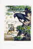 Les petits oiseaux artistes ou la volière du Garde-Chasse. Douze vignettes par E. Lejeune, coloriées avec soin.. LENEVEUX, Madame Louise: