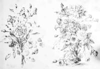 Nouvel album de dessins. Mis à la portée de la jeunesse. Par divers auteurs. Lith. de Becquet frères.