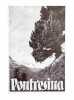 Pontresina. (Livret - Guide touristique).. 