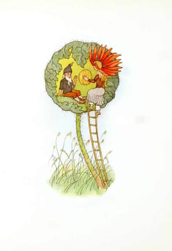 La vie des oiseaux. Les Rapaces. Les colombins et les Gallinacés. 2ème éd. ‘Les beautés de la nature’. . GÉROUDET, Paul: