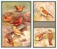 Les oiseaux de chez nous. Reproductions d'aquarelles de Léon Paul &  Paul-A. Robert, fils. Collection de feuilles séparées.. ROBERT, Léon Paul ...