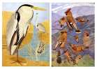 Les oiseaux de chez nous. Reproductions d'aquarelles de Léon Paul &  Paul-A. Robert, fils. Collection de feuilles séparées.. ROBERT, Léon Paul ...