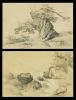 Études de la Nature. Deux dessins originaux à la mine de plomb sur papier beige.. COIGNET Jules (1798-1860, école française):