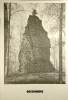 Le Chateau et le Bourg de Bossonnens au Moyen Age. Etude documentaire.. ANDREY, Ivan: