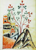 Medicina Antiqua. Esplendor del medievo. Cuatro Libros Medicina. Codex Vindobonensis 93. Presentatcian de Diego Garcia. Introduccion historico medica ...
