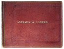 Animaux de Cooper, (titre sur la reliure). Etudes d’animaux de Cooper . COOPER. -