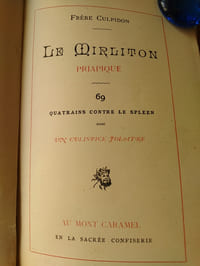 LE MIRLITON PRIAPIQUE : 69 QUATRAINS CONTRE LE SPLEEN.