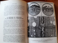 SUBERICULTURE.