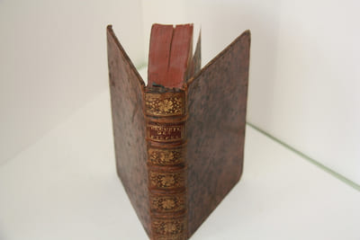 Recueil des Pièces les plus curieuses qui ont esté faites pendant le règne du Connétable M. de Luynes. Sans lieu, 1624 .