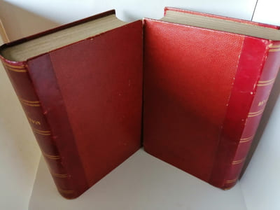 Histoire de la révolution de 1848, Paris, Naud, 1851