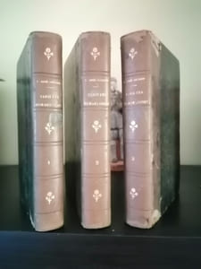 Variétés bordeloises ou Essai historique et critique sur la Topographie ancienne et moderne du diocèse de Bordeaux par l’Abbé Baurein, nouvelle édition avec une préface de M. Georges Méran, avocat et une table alphabétique et détaillée par M. le Marquis de Castelnau d’Essenault, Bordeaux, Féret et Fils, 1876.
