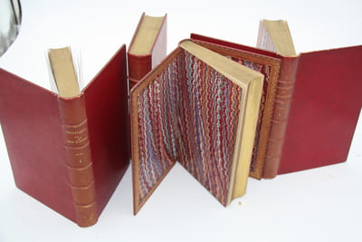 Chroniques de Jean d'Auton publiées pour la première fois en entier, d'après les manuscrits de la Bibliothèque du Roi, avec une notice et des notes par Paul L. Jacob, bibliophile.