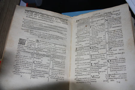 Responses et salvations des pièces produictes par les gentz du Tiers estat de Daulphiné, demandeurs aux contredicts baillez par l'Estat des Nobles et autres leurs Ecritures et autres deffendeurs, [à la suite, pagination discontinue]

La réplique du Tiers estat à la deffense de ladoite noblesse, commençant l'estat, signée du FOS après ladite table.
