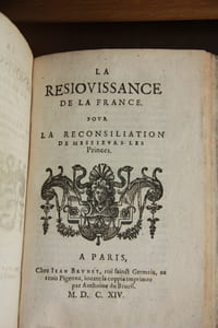 Recueil factice de vingt-six pamphlets de l'année 1614 , imprimés par divers à Paris.