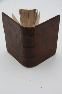 F. Hectoris Pinti, Lusitani ordinis  D. Hieronymi in Esaiam Prophetam Commentaria. Omnia Judici et correctioni Romanae et universalis Ecclesiae subjecta sunto. Atwerpiae (Philippum Nuntium), 1570.