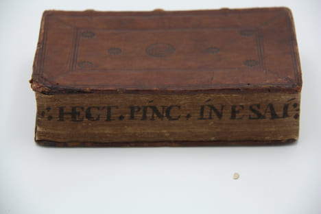 F. Hectoris Pinti, Lusitani ordinis D. Hieronymi in Esaiam Prophetam Commentaria. Omnia Judici et correctioni Romanae et universalis Ecclesiae ...