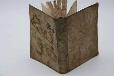 Décisions sur les coutumes de Berry par Gaspard Thaumas de la Thaumassière, Ecuyer, sieur de Puy-Ferrand, Avocat en Parlement, Echevin de la ville de Bourges.
relié à la suite
Le Franc-Alleu de la province de Berry ou traité de la liberté des personnes et des héritages de Berry
Les deux ouvrages publiés à Bourges par Jean Toubeau en 1667