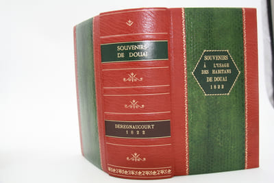 Souvenirs à l'usage des Habitans de Douai. Notes pour servir à l'histoire de cette ville jusques et inclus l'année 1821