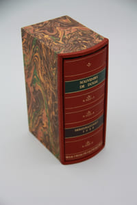 Souvenirs à l'usage des Habitans de Douai. Notes pour servir à l'histoire de cette ville jusques et inclus l'année 1821
