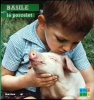 Basile le porcelet. Anne-Marie Pajot  Photographie Guy Dhuit