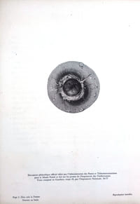 Document philatélique officiel n°34-77  Tremois (n°1950 Yvert et Teillier)