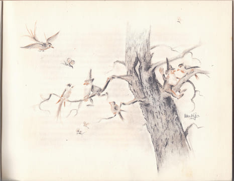 La fée de Brocéliande. Texte et illustrations de Matéja