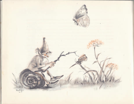 La fée de Brocéliande. Texte et illustrations de Matéja