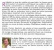 ABC des tisanes infusions et décoctions. Thierry Telphon