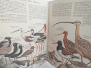 Le peuple des oiseaux. R. Porter Allen