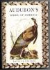 Audubons birds of America  Popular Edition. John James Aubudon