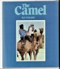 The camel . R.T. Wilson