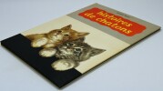 Histoires de chatons. Winifred Martin