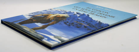 Le garçon qui voulait devenir un être humain (3 volumes). Jorn Riel