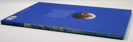 Le garçon qui voulait devenir un être humain (3 volumes). Jorn Riel