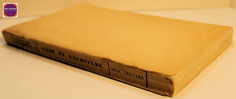 L'Ame et l'écriture. Ania Teillard