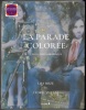 La parade colorée - Conte photographique. Lisa Roze et Cédric Villani