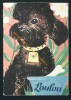 Loulou. G Mauser-Lichtl