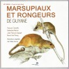Marsupiaux et rongeurs de guyane. François Catzeflis Sébastien Barrioz Jean-François Szpigel et Benoît de Thoisy